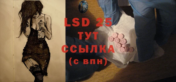 стаф Горняк