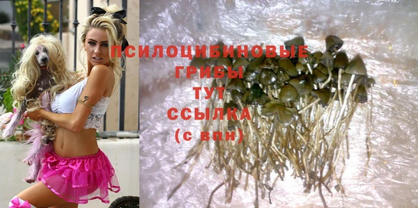 стаф Горняк
