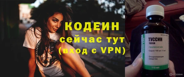 не бодяженный Горно-Алтайск