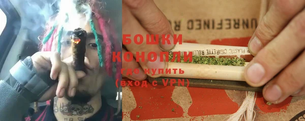 стаф Горняк