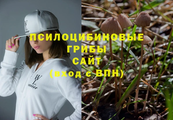 не бодяженный Горно-Алтайск