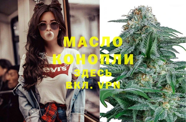 стаф Горняк