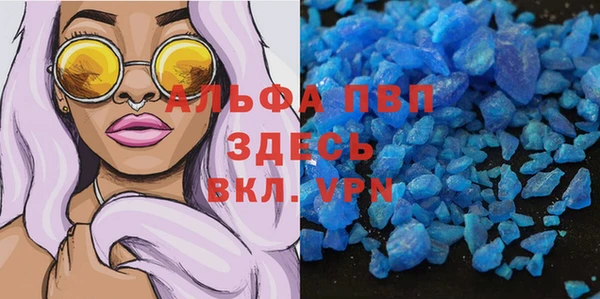 стаф Горняк