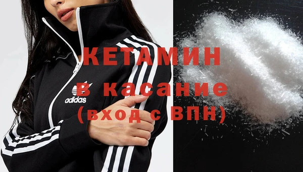 стаф Горняк